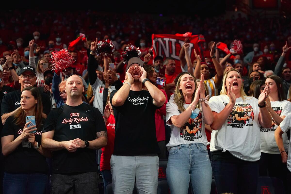 fans cheer during a game