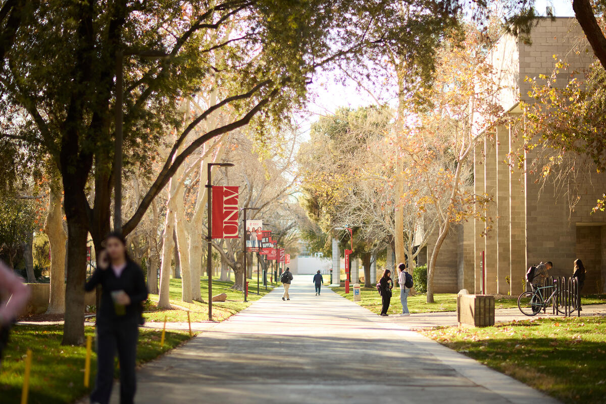 Walkway surrounded by trees and various U.N.L.V. banners. There are a handful of students walking or talking.